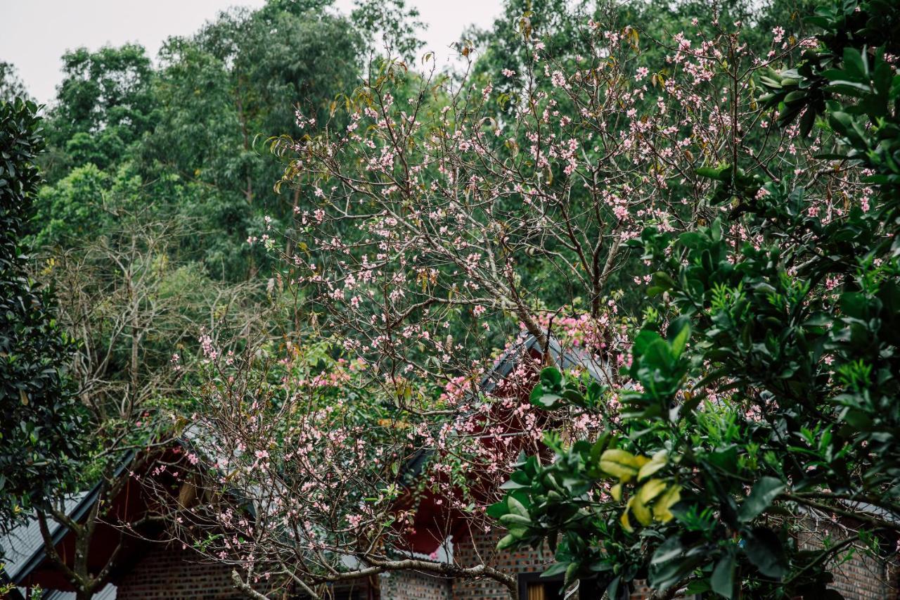 Cat Ba Spring Garden Homestay Hien Hao Exteriör bild